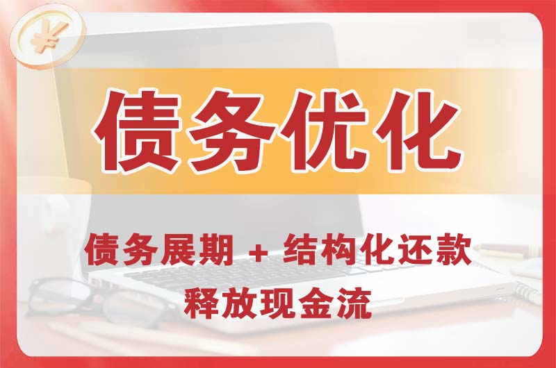 武陵债务优化