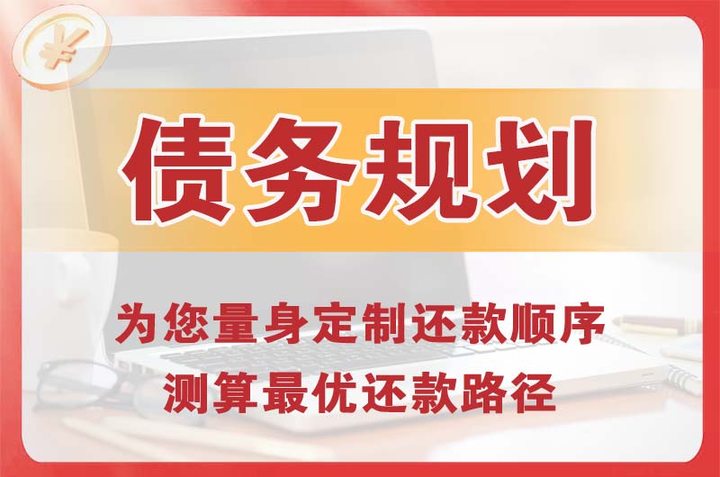 武陵债务规划